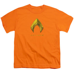 Aquaman Movie Aquaman Logo Youth 18/1 100% Cotton Short-Sleeve T-Shirt