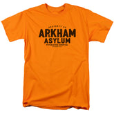 Batman Comics Arkham Asylum Men's 18/1 Cotton Short-Sleeve T-Shirt