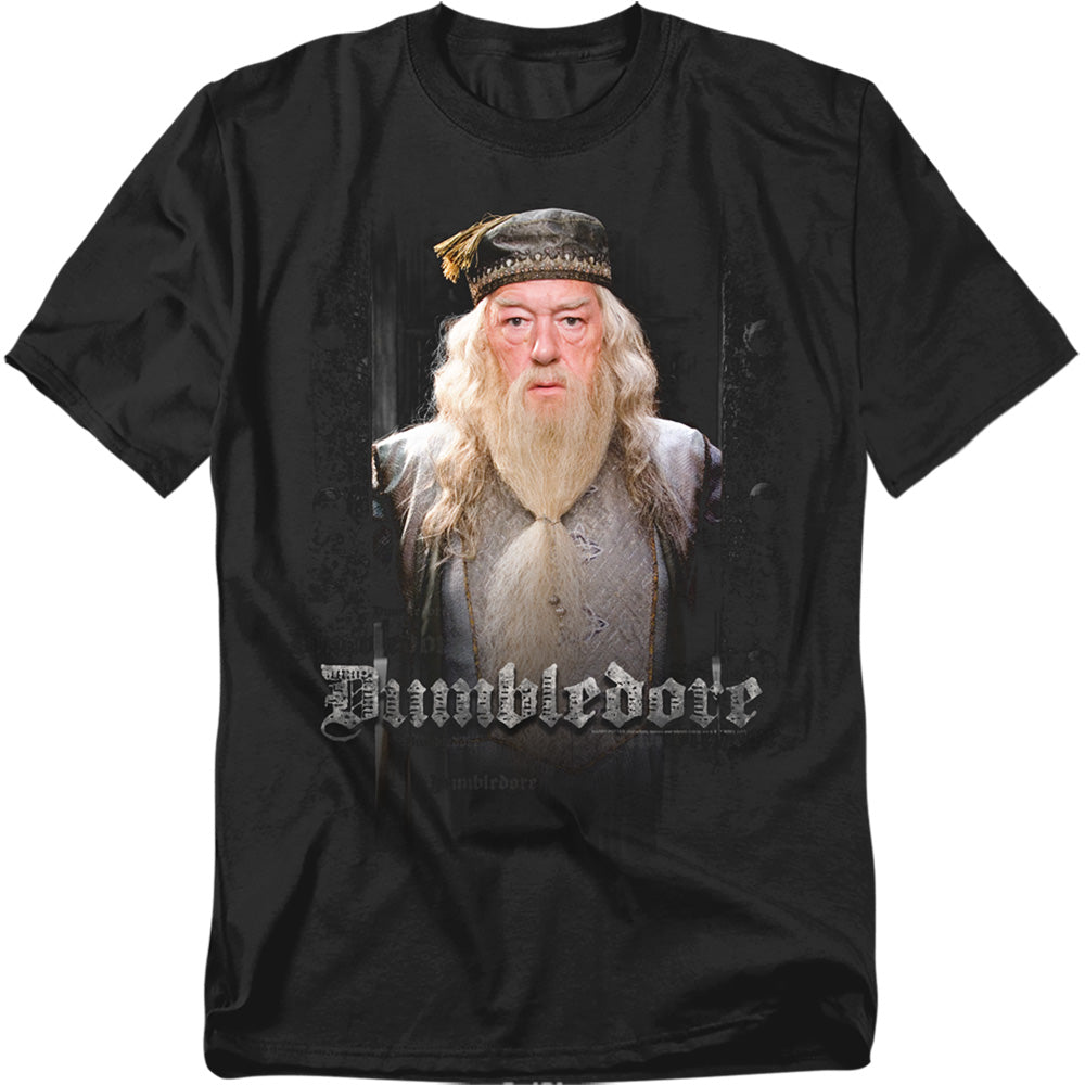 Harry Potter Dumble Doors Men's 18/1 Cotton Short-Sleeve T-Shirt