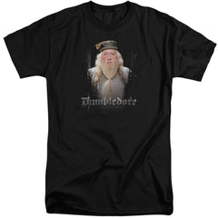 Harry Potter Dumble Doors Men's 18/1 Tall Cotton Short-Sleeve T-Shirt