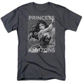 Justice League Of America Princess Of The Amazons Men's 18/1 Cotton Short-Sleeve T-Shirt