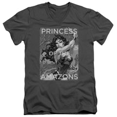 Justice League Of America Princess Of The Amazons Men's 30/1 Cotton Slim V-Neck T-Shirt