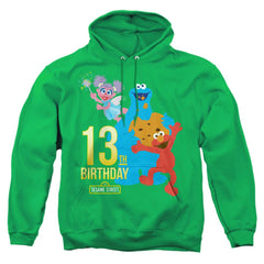 Sesame Street 13th Birthday Men's Pull-Over 75 25 Poly Hoodie