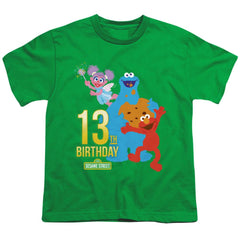 Sesame Street 13th Birthday Youth 18/1 100% Cotton Short-Sleeve T-Shirt