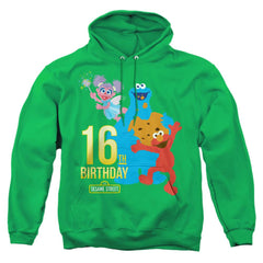 Sesame Street 16th Birthday Men's Pull-Over 75 25 Poly Hoodie