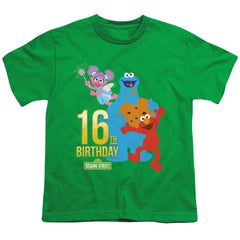 Sesame Street 16th Birthday Youth 18/1 100% Cotton Short-Sleeve T-Shirt