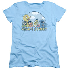Sesame Street Sesame Group Women's 18/1 Cotton Short-Sleeve T-Shirt