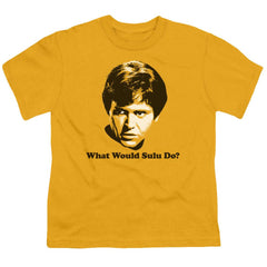 Star Trek What Would Sulu Do Youth 18/1 100% Cotton Short-Sleeve T-Shirt