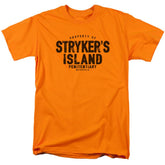 Superman Strykers Island Men's 18/1 Cotton SS T