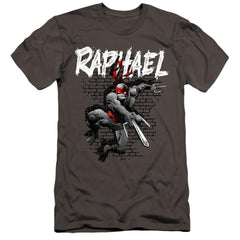 Teenage Mutant Ninja Turtles Tmnt Raphael Men's Ultra-Soft 30/1 Cotton Slim Short-Sleeve T-Shirt