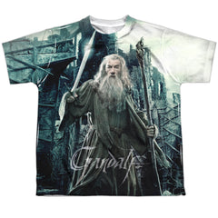 The Hobbit Wizard Youth Regular Fit Poly Short-Sleeve T-Shirt