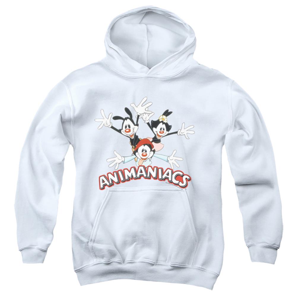Animaniacs Animaniacs Trio Youth Cotton Poly Pull-Over Hoodie