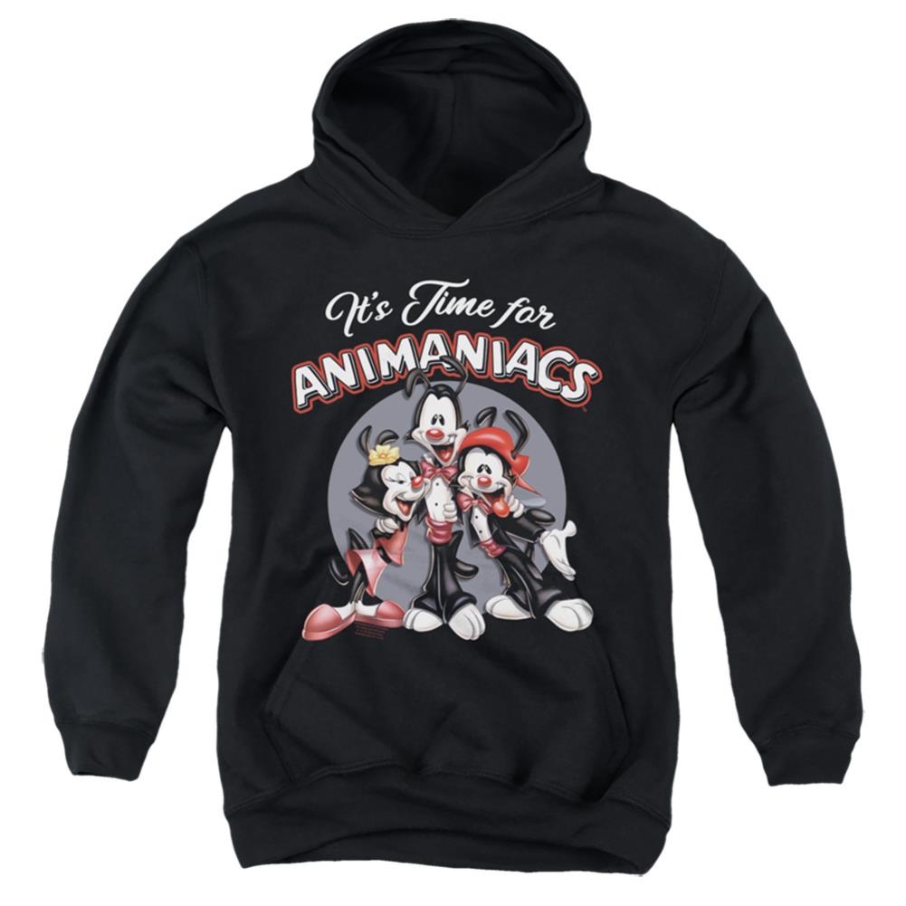 Animaniacs Its Time For Youth Cotton Poly Pull-Over Hoodie