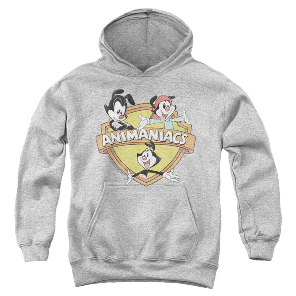 Animaniacs Shielded Animaniacs Youth Cotton Poly Pull-Over Hoodie