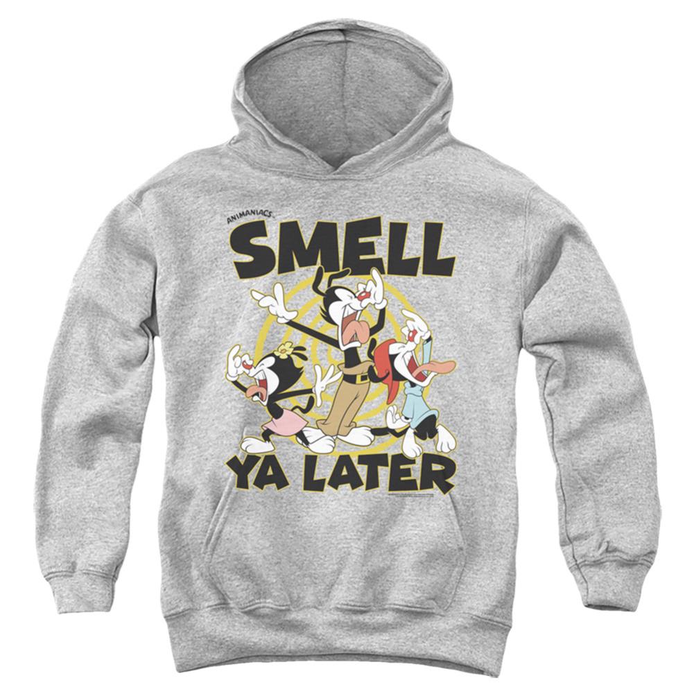 Animaniacs Smell Ya Later Youth Cotton Poly Pull-Over Hoodie