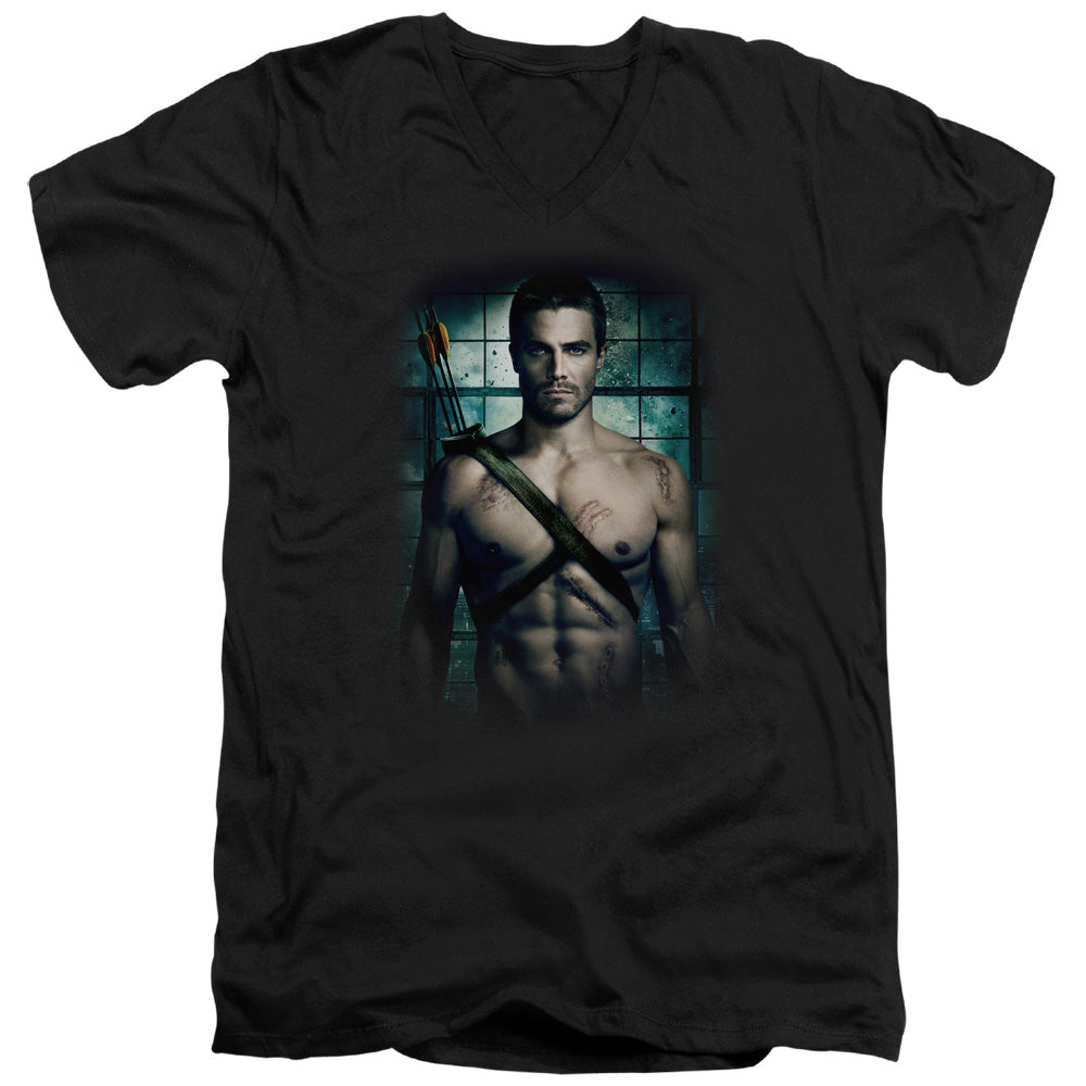 Arrow Shirtless Men's 30/1 Cotton Slim V-Neck T-Shirt