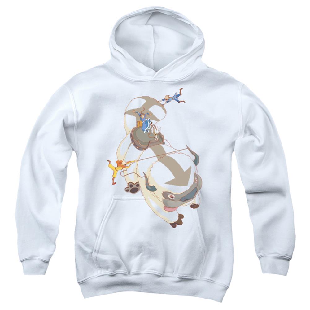 Avatar The Last Airbender Hang On Appa Youth Cotton Poly Pull-Over Hoodie