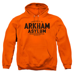 Batman Comics Arkham Asylum Men's Pull-Over 75 25 Poly Hoodie