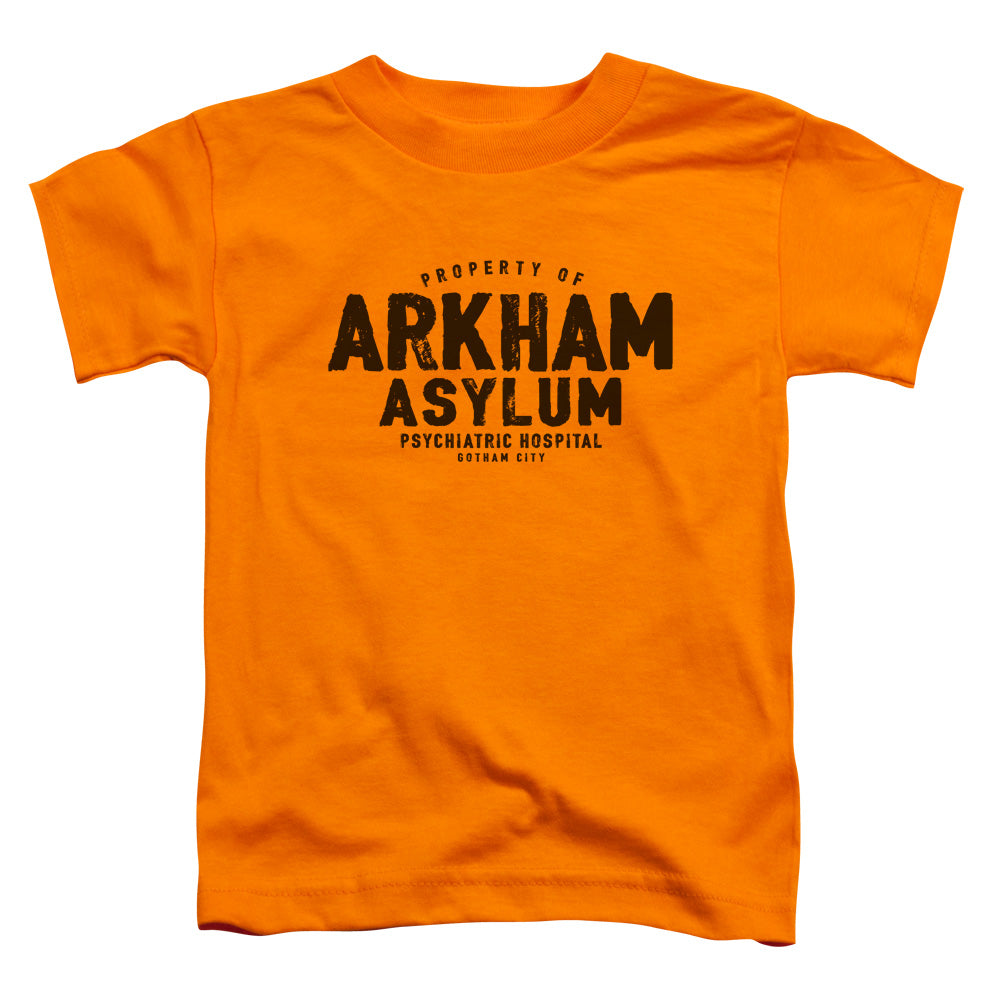 Batman Comics Arkham Asylum Toddler 18/1 Cotton Short-Sleeve T-Shirt