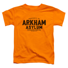 Batman Comics Arkham Asylum Toddler 18/1 Cotton Short-Sleeve T-Shirt