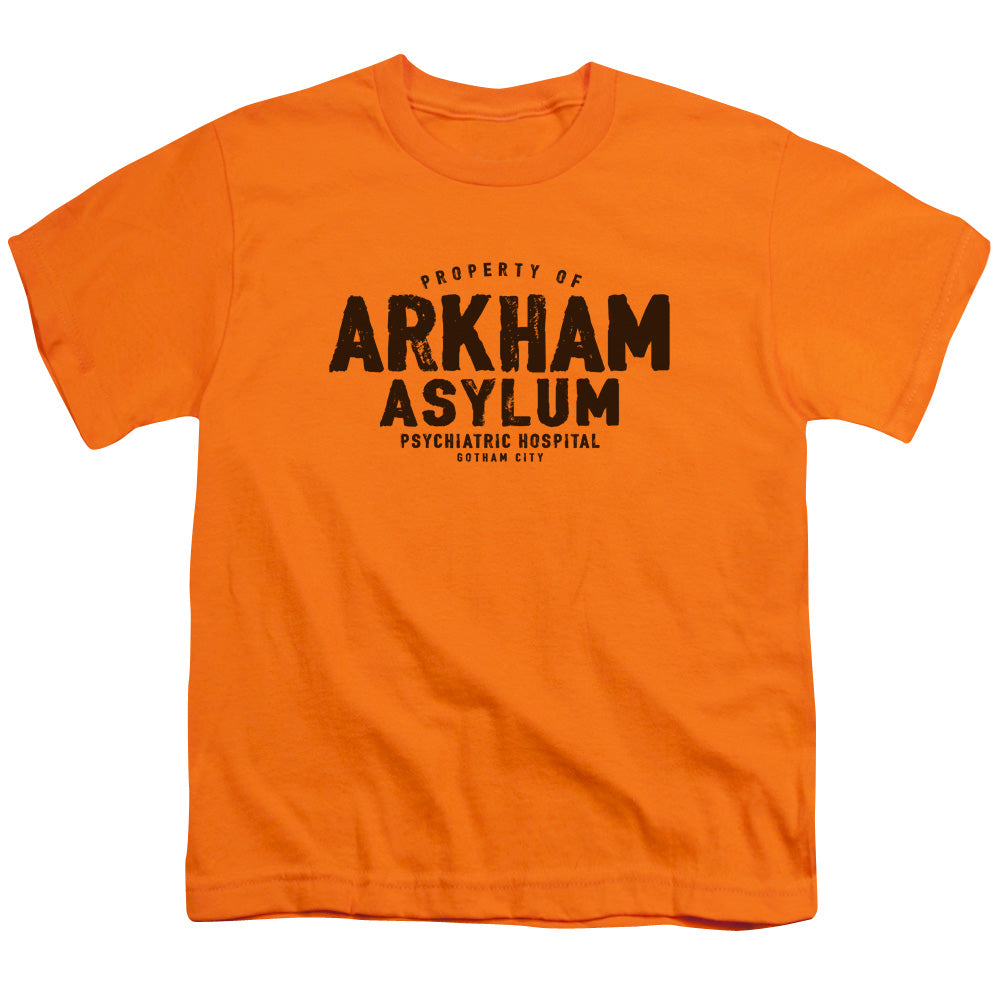 Batman Comics Arkham Asylum Youth 18/1 100% Cotton Short-Sleeve T-Shirt