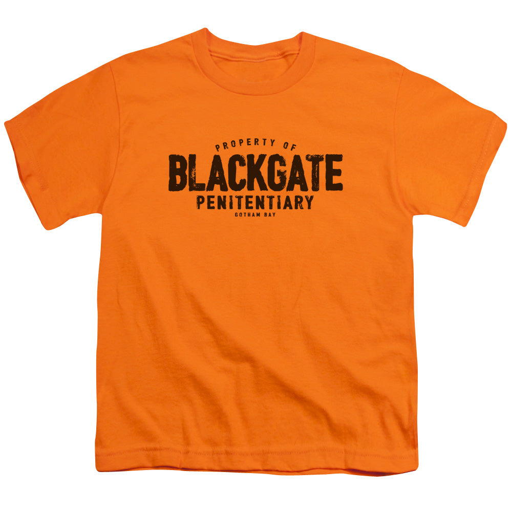 Batman Comics Blackgate Youth 18/1 100% Cotton Short-Sleeve T-Shirt