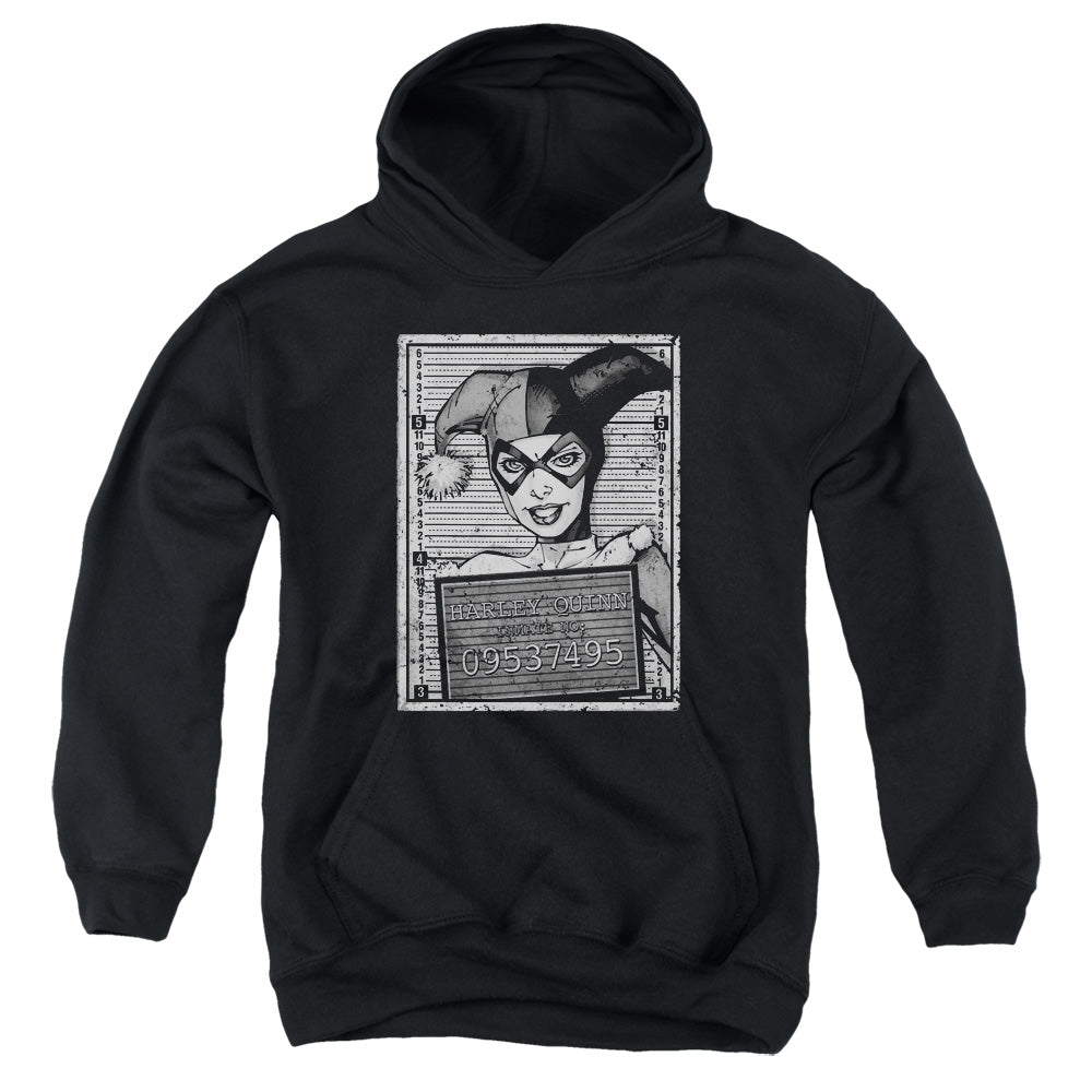 Batman Comics Harley Inmate Youth Cotton Poly Pull-Over Hoodie