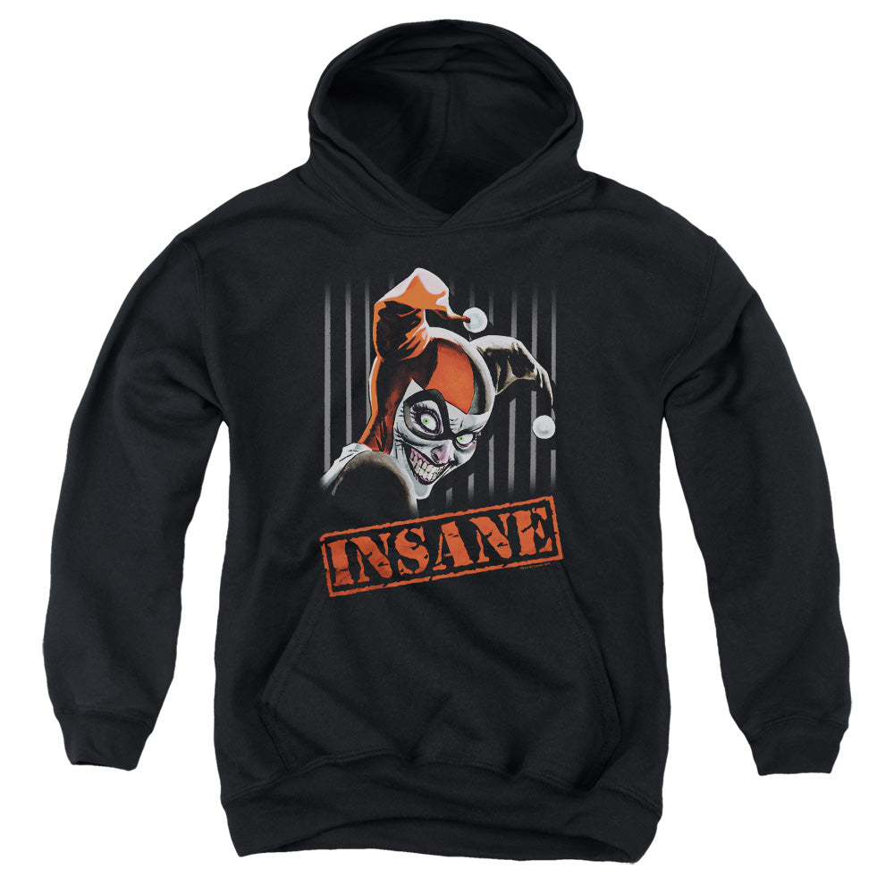 Batman Comics Insane Youth Cotton Poly Pull-Over Hoodie