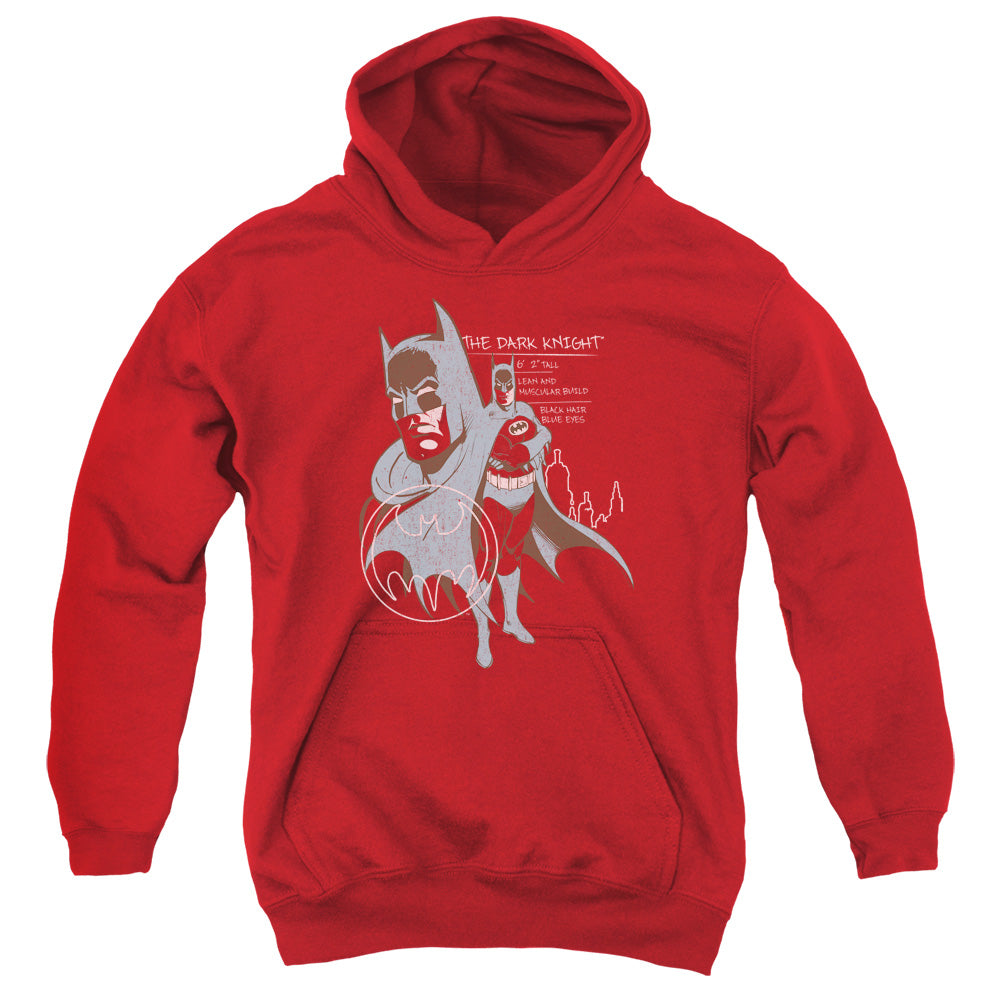 Batman Comics Lean And Muscular Youth Cotton Poly Pull-Over Hoodie