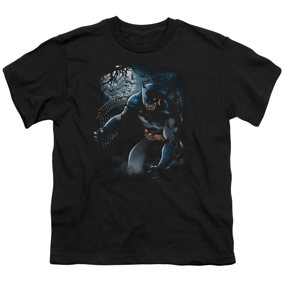 Batman Comics Light Of The Moon Youth 18/1 100% Cotton Short-Sleeve T-Shirt