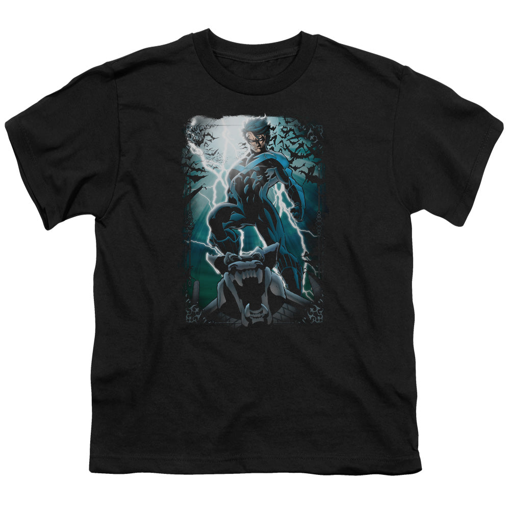 Batman Comics Night Light Youth 18/1 100% Cotton Short-Sleeve T-Shirt