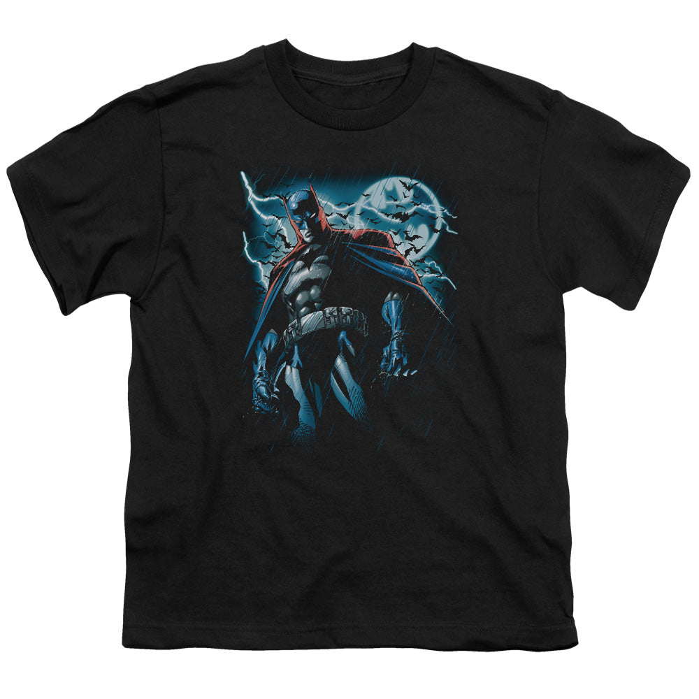 Batman Comics Stormy Knight Youth 18/1 100% Cotton Short-Sleeve T-Shirt