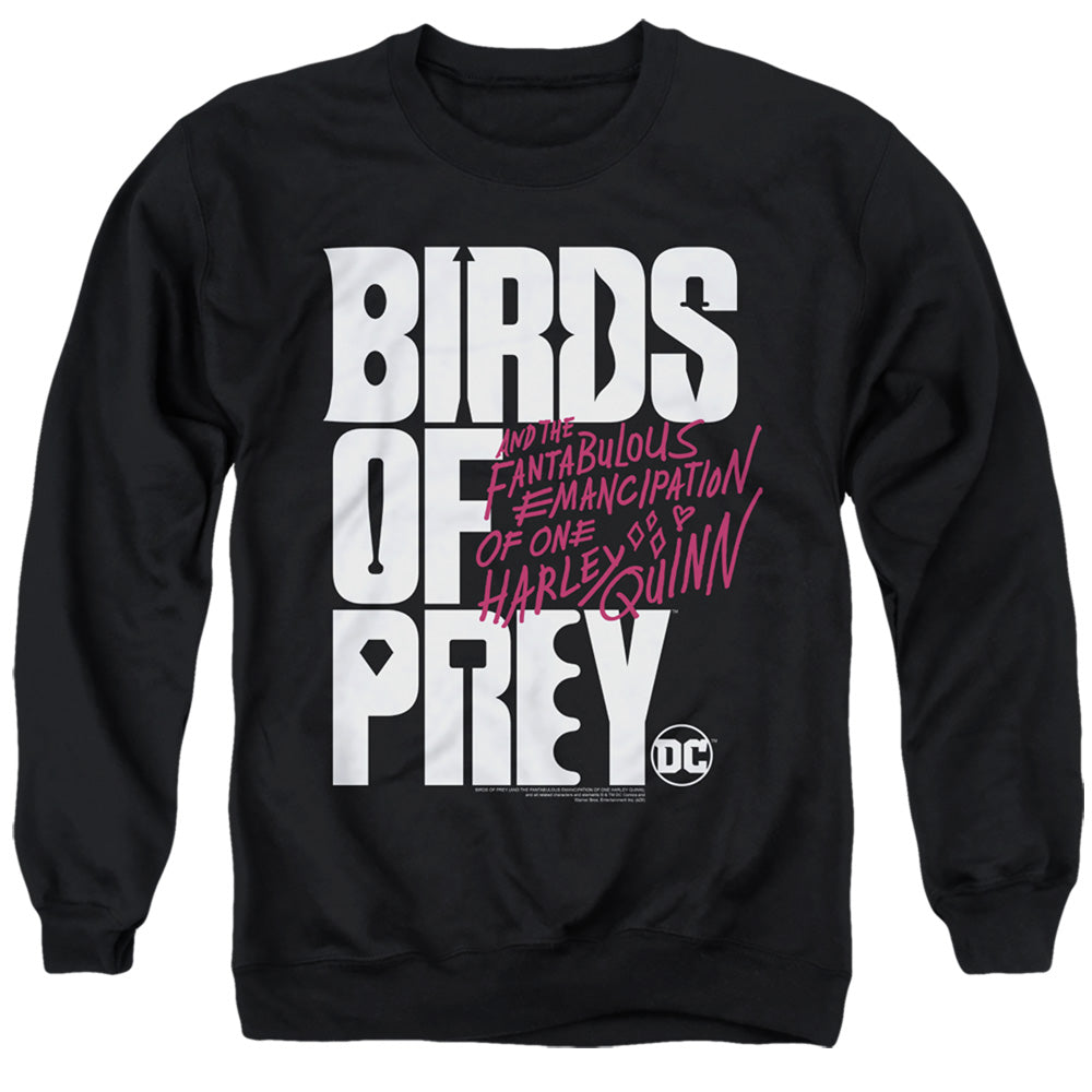 Birds Of Prey Birds Of Prey Logo Men's Crewneck 50 50 Poly Long-Sleeve T-Shirt