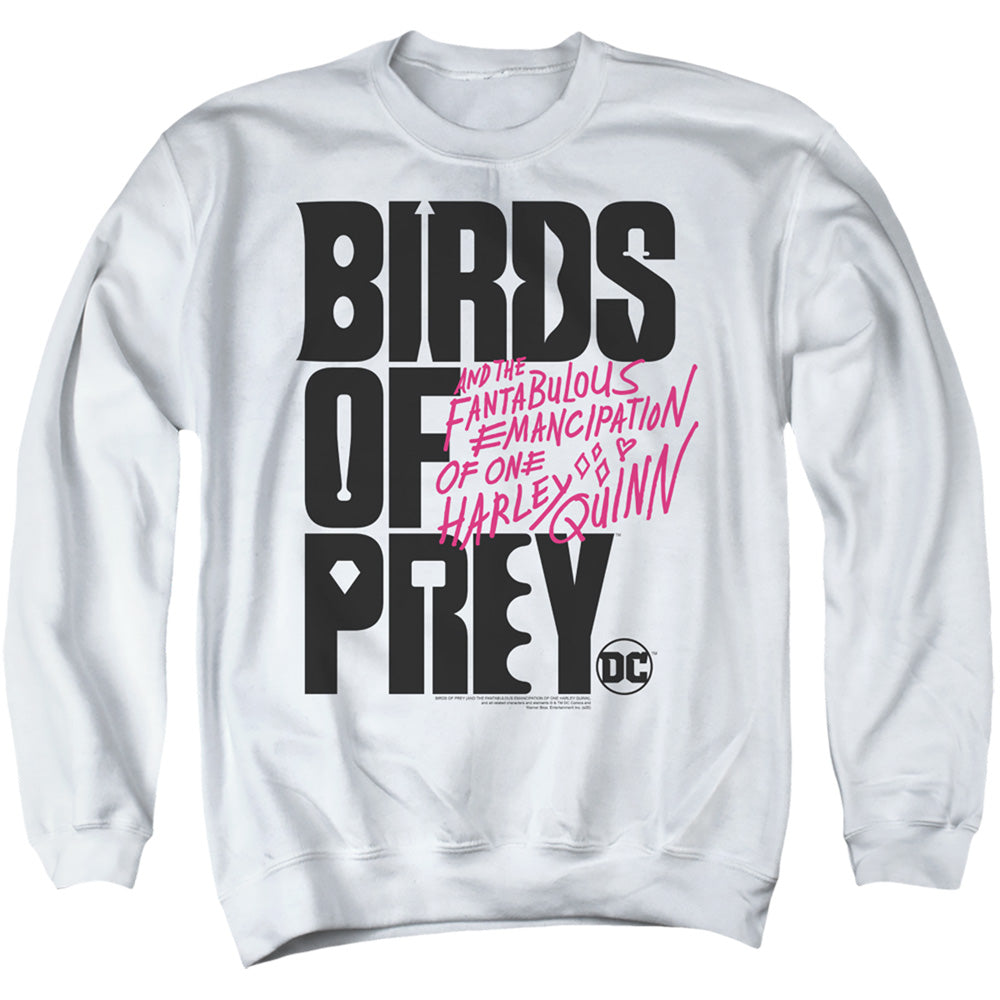 Birds Of Prey Birds Of Prey Logo Men's Crewneck 50 50 Poly Long-Sleeve T-Shirt