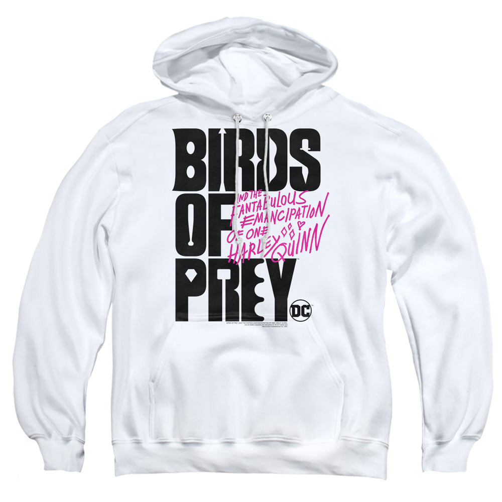 Birds Of Prey Birds Of Prey Logo Men's Pull-Over 75 25 Poly Hoodie