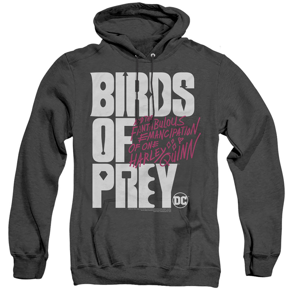 Birds Of Prey Birds Of Prey Logo Men's Pull-Over Hoodie