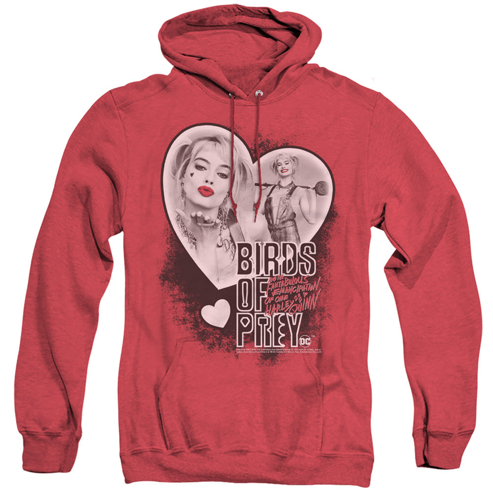 Birds Of Prey Heart Harley Men's Pull-Over Hoodie