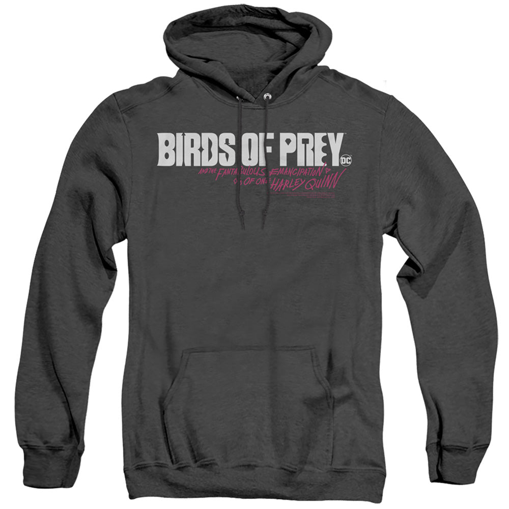 Birds Of Prey Horizontal Logo Men's Pull-Over Hoodie