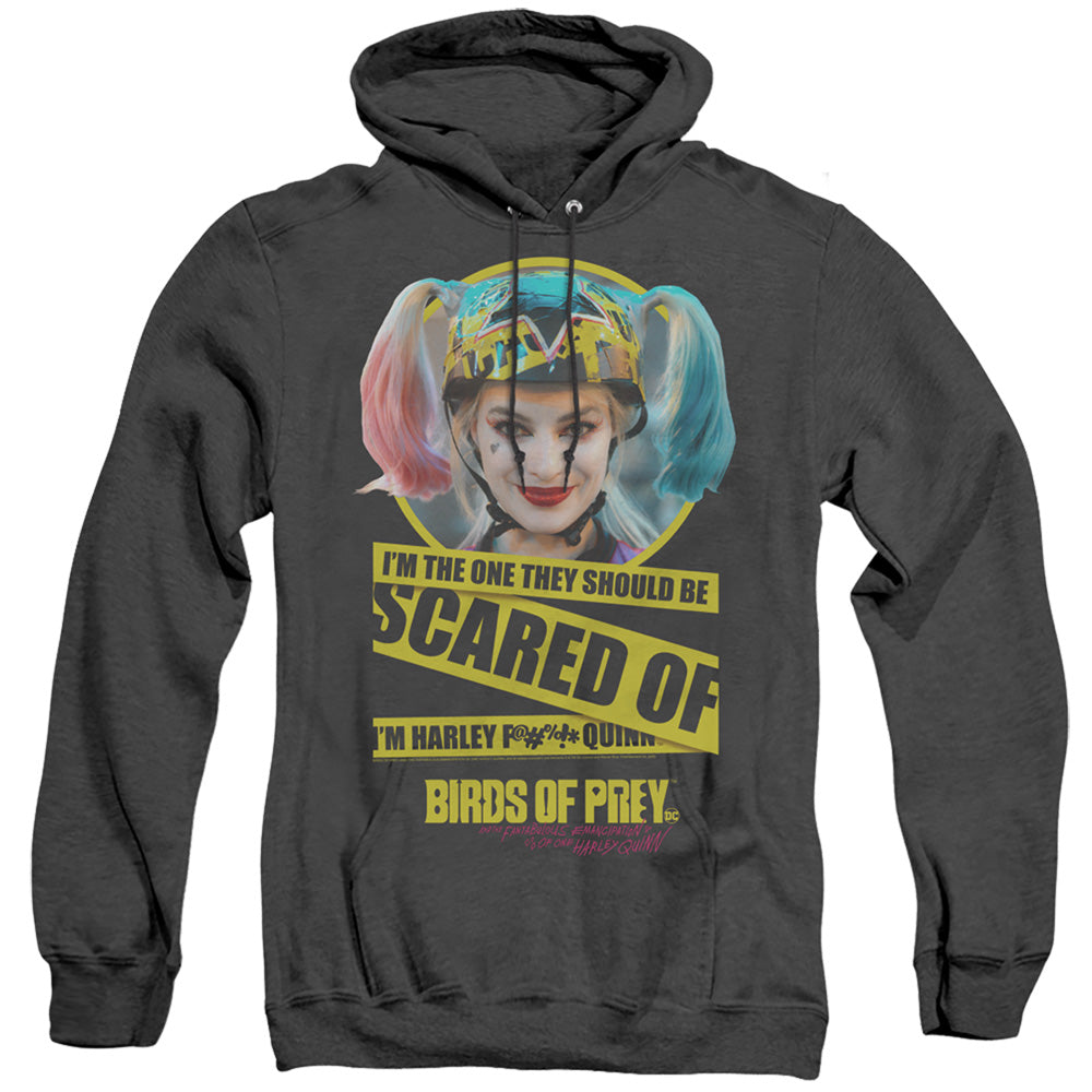 Birds Of Prey Scared Of Men's Pull-Over Hoodie