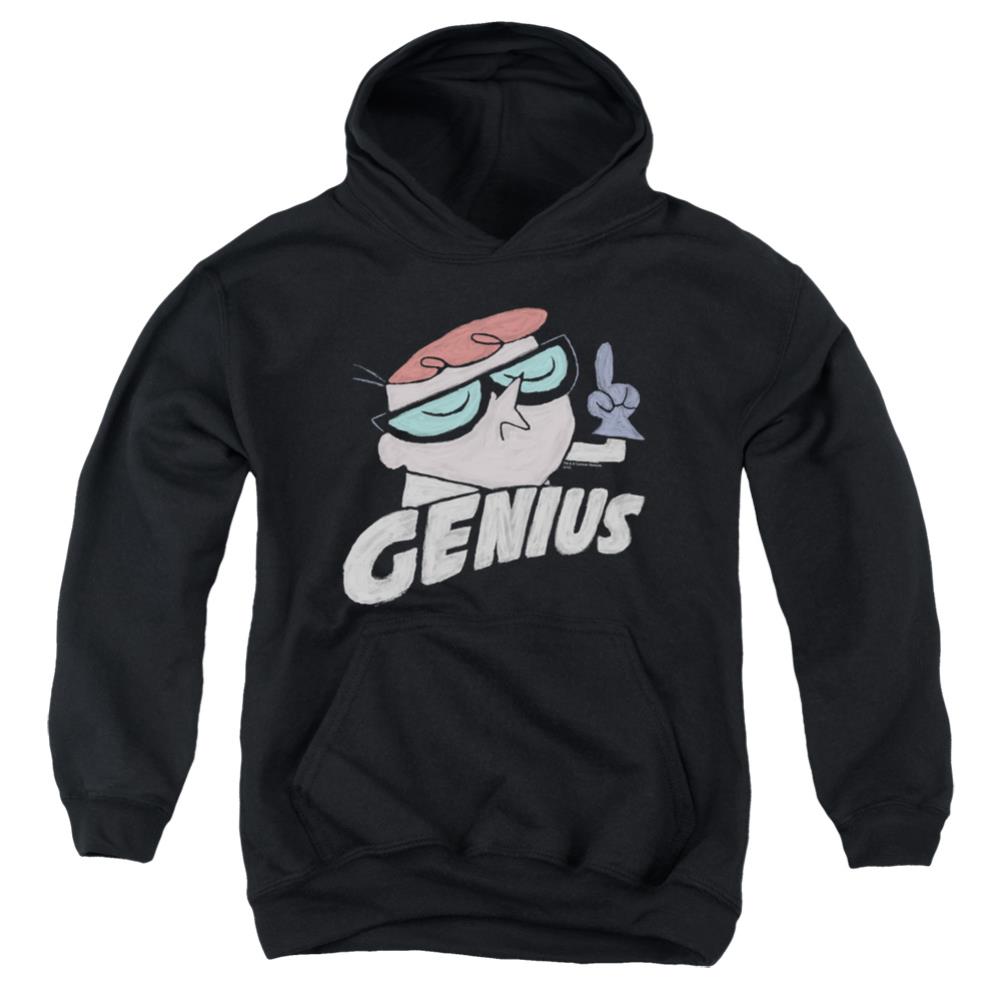 Dexter'S Laboratory Genius Youth Cotton Poly Pull-Over Hoodie