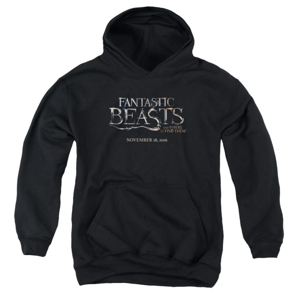 Fantastic Beasts And Where To Find Them Logo Youth Cotton Poly Pull-Over Hoodie