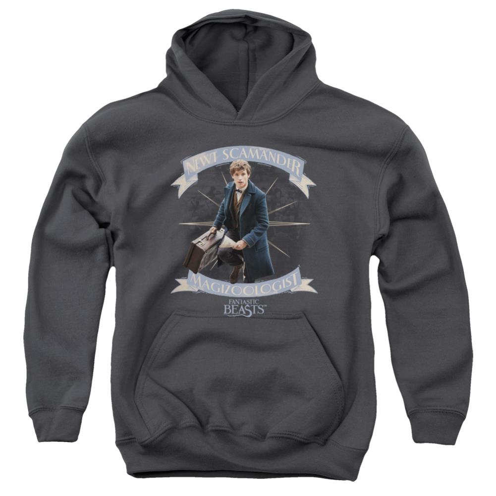 Fantastic Beasts And Where To Find Them Newt Scamander Youth Cotton Poly Pull-Over Hoodie