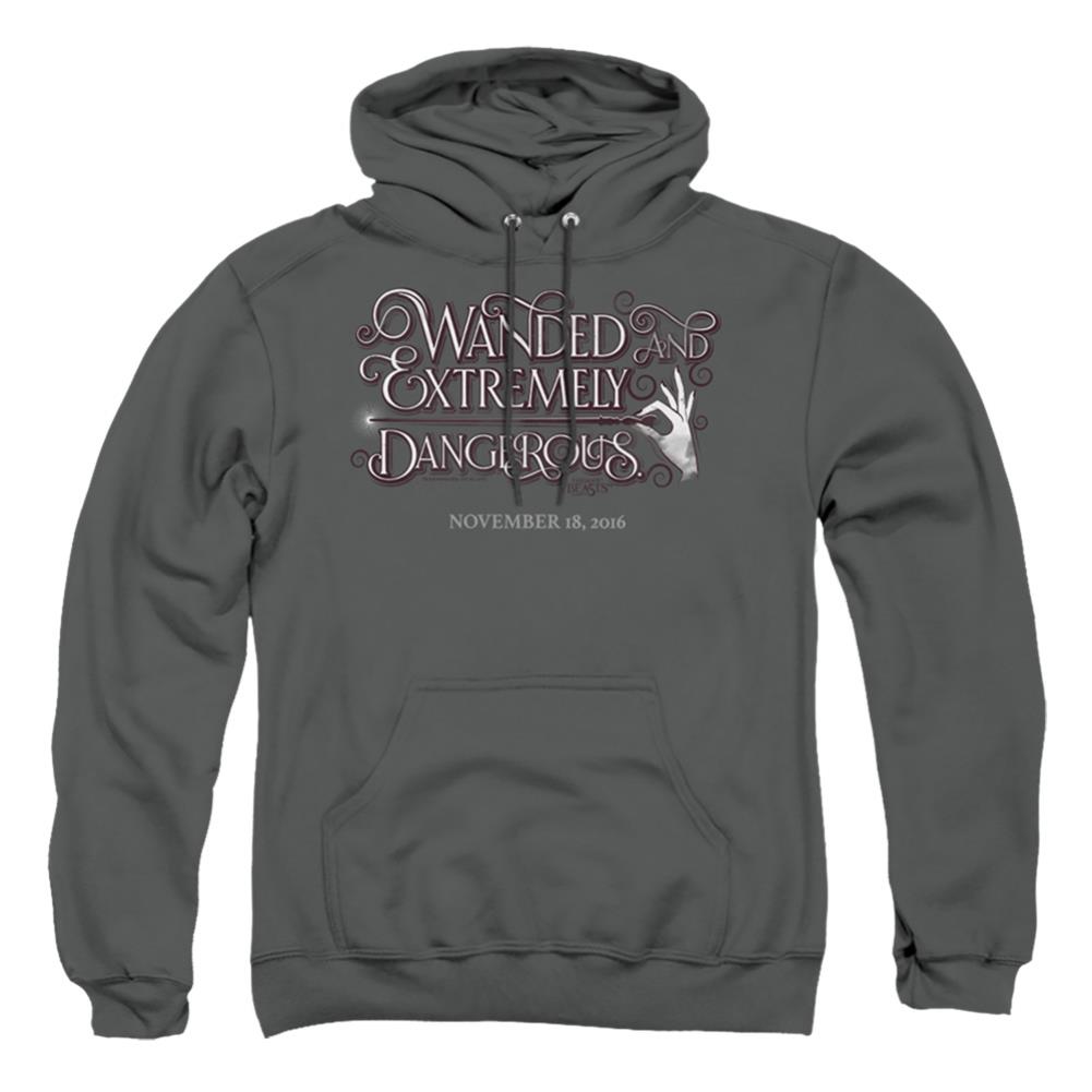 Fantastic Beasts And Where To Find Them Wanded Men's Pull-Over 75 25 Poly Hoodie