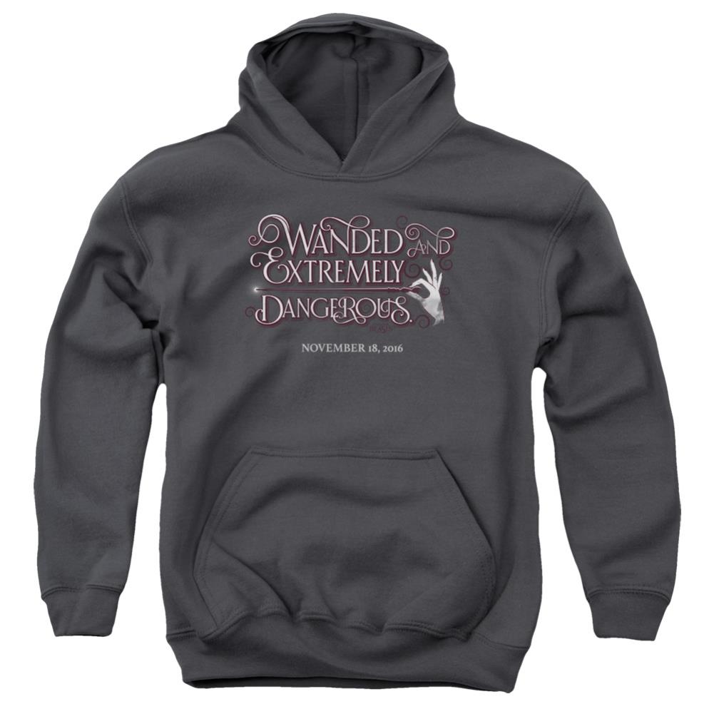 Fantastic Beasts And Where To Find Them Wanded Youth Cotton Poly Pull-Over Hoodie