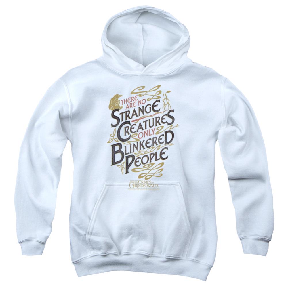 Fantastic Beasts: The Crimes of Grindelwald Blinkered People Youth Cotton Poly Pull-Over Hoodie