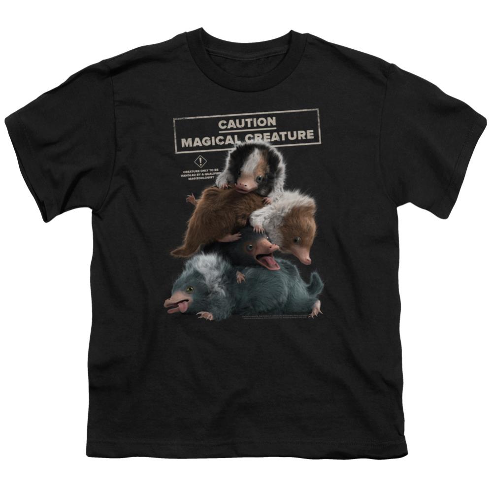 Fantastic Beasts: The Crimes of Grindelwald Cuddle Puddle Youth 18/1 100% Cotton Short-Sleeve T-Shirt