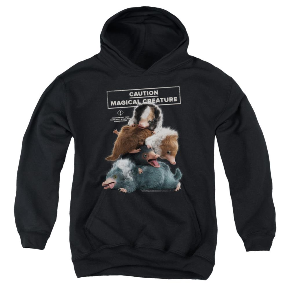 Fantastic Beasts: The Crimes of Grindelwald Cuddle Puddle Youth Cotton Poly Pull-Over Hoodie