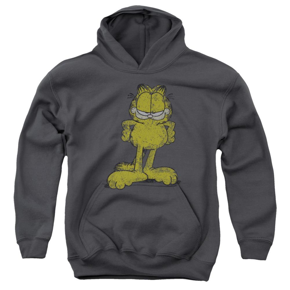 Garfield Big Ol Cat Youth Cotton Poly Pull-Over Hoodie