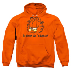 Garfield Do I Look Like Im Kidding Men's Pull-Over 75 25 Poly Hoodie