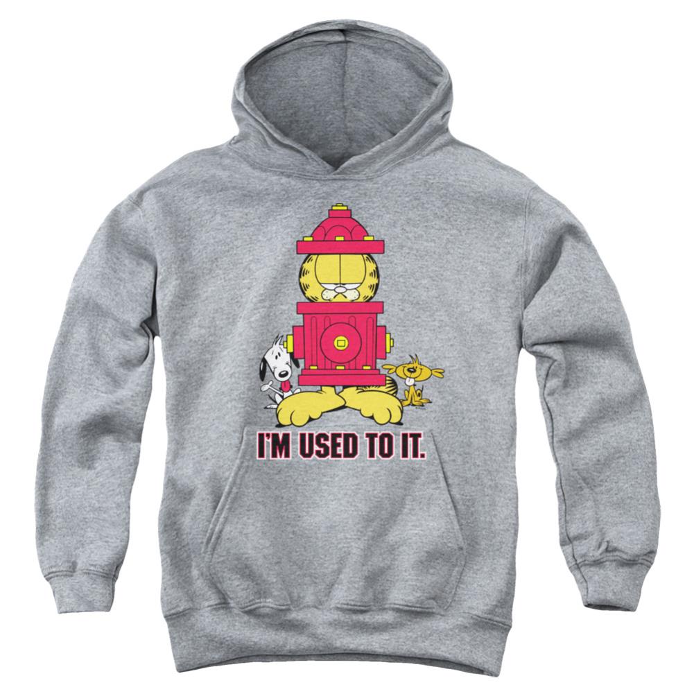 Garfield Im Used To It Youth Cotton Poly Pull-Over Hoodie